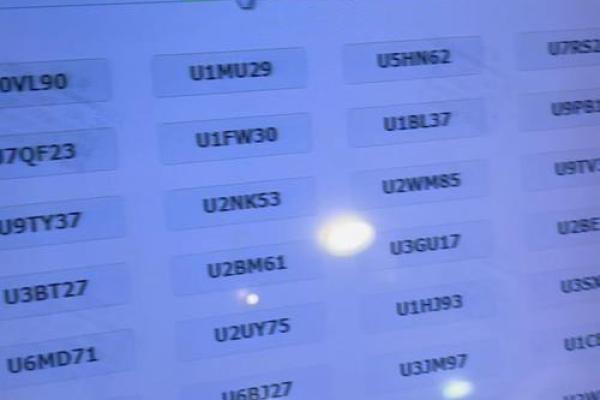 车牌测试吉凶查询系统入口