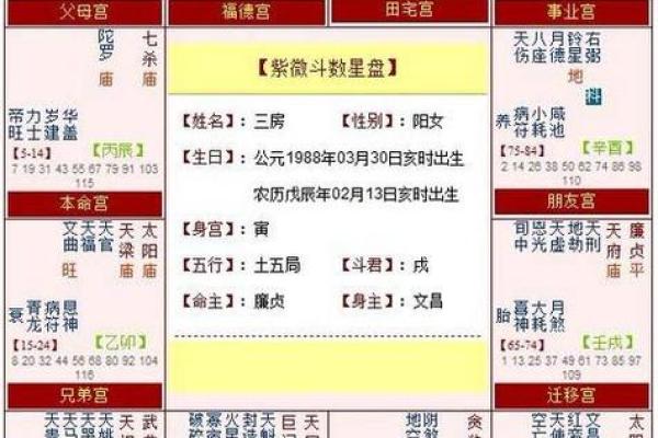 测紫薇斗数app 测紫薇斗数app