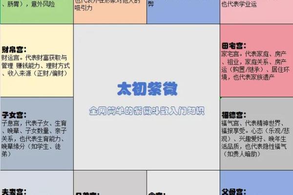 紫薇斗数流月怎么看 紫薇斗数流月怎么看