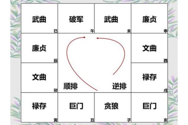 紫薇斗数身宫