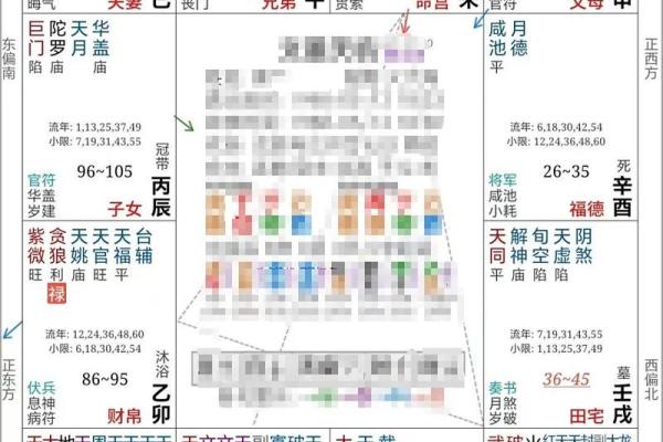 紫薇斗数命盘案例 紫薇斗数命盘案例