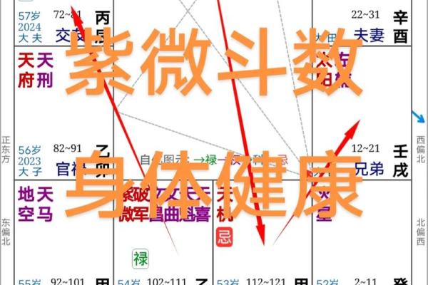 紫薇斗数里忌代表什么 紫薇斗数里忌代表什么