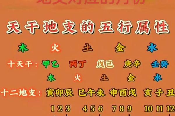 免费五行八卦算命,八字五行免费算命 免费五行八卦算命,八字五行免费算命