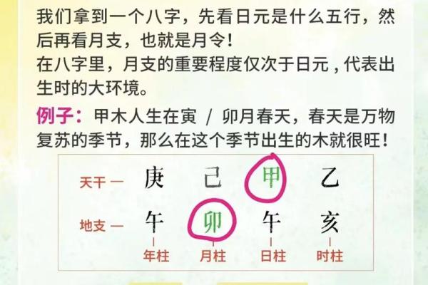 在哪里学八字算命 在哪里学八字算命
