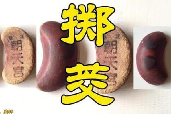 妈祖灵签97签解签 妈祖灵签97签解签