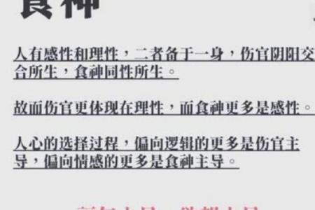 八字-食神总论
