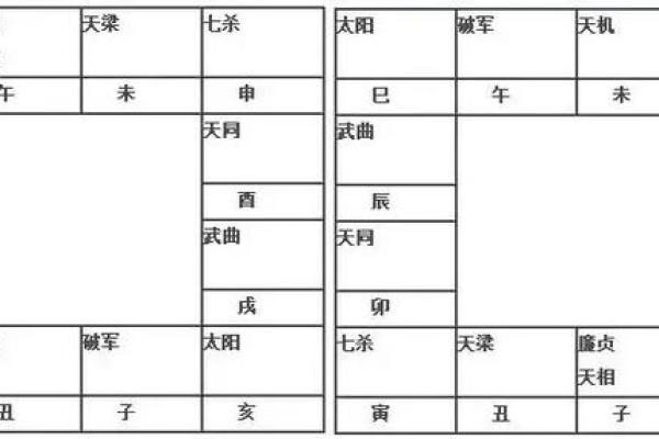 紫薇斗数夫福线