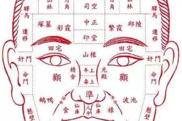 面相风水下垂眼的人命运好不好