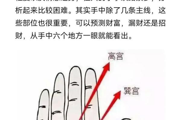 看手相算命图解：掌线