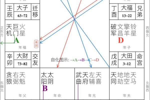 紫薇斗数官禄宫配偶