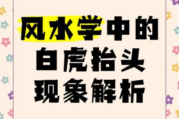 白虎在八字中代表什么意思 白虎八字代表何意