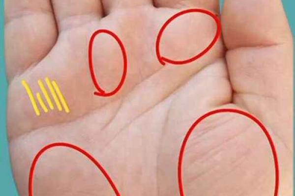 手型算命：水型人的性格与命运