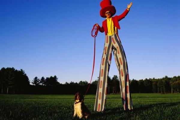 风水角度梦见踩高跷摔下来了好不好