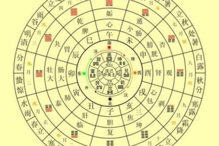 八字算命：看宝宝命格，揭秘未来前程！