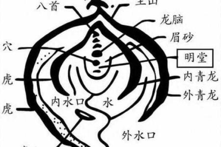 阳宅风水知识讲解之五行的扩展