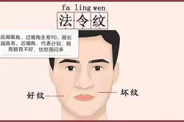 法令纹面相算命看看你命运好坏 法令纹面相算命看看你命运好坏