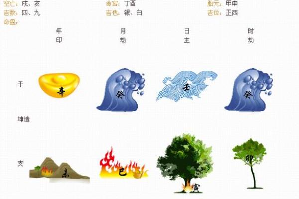 算命树的说法 算命树的说法