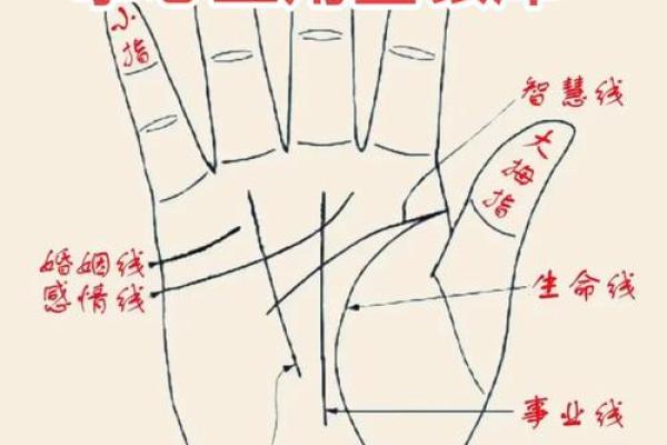 从算命的角度看命中注定#命运#跟我学易经 从算命的角度看命中注定#命运#跟我学易经