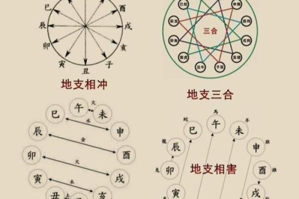 八字算命生肖六合是什么意思 八字算命生肖六合是什么意思
