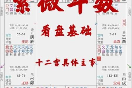 紫微斗数诸星落命宫之：生年将前十二神详解