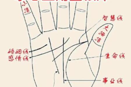 从算命的角度看命中注定#命运#跟我学易经