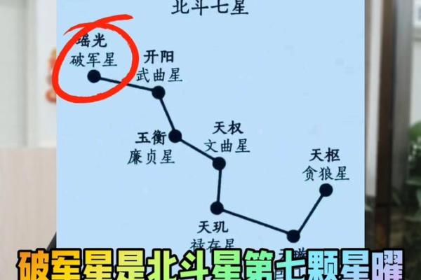 紫薇星辰斗数app 紫薇星辰斗数app