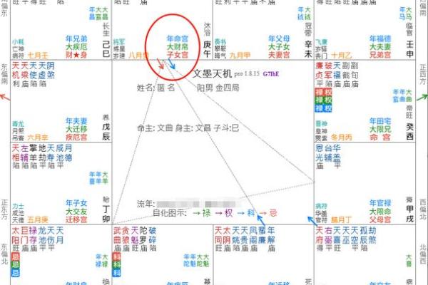 紫薇斗数二胎看那个宫位 紫薇斗数二胎看那个宫位