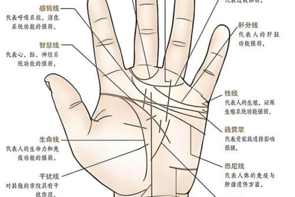 紫微斗数紫薇女和太阳男