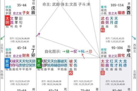 紫薇星对紫薇郎