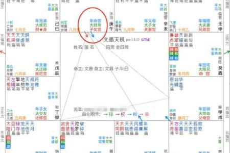 紫薇斗数二胎看那个宫位