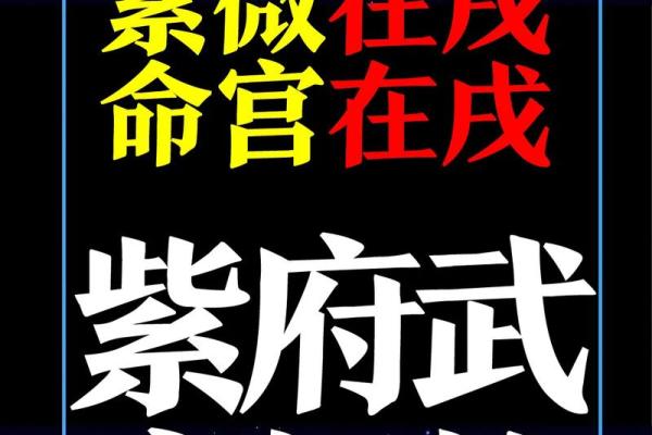 紫薇斗数没有紫薇 紫薇斗数没有紫薇