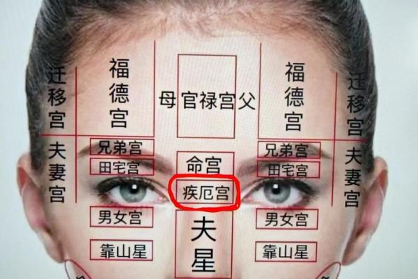 紫薇星天相星在疾厄宫