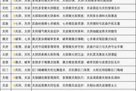 紫薇斗数星宿含义