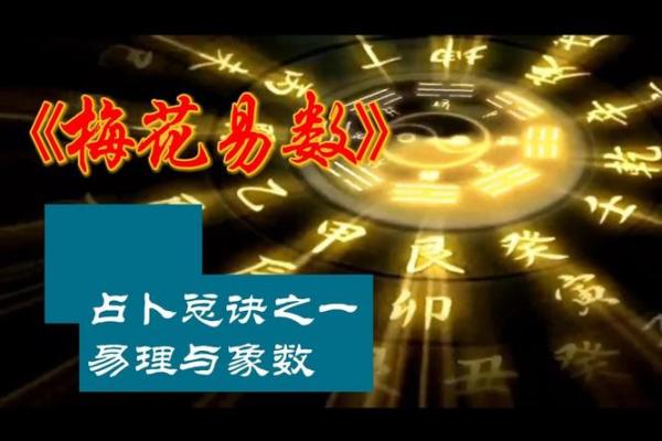 用梅花易数怎么算命 用梅花易数怎么算命