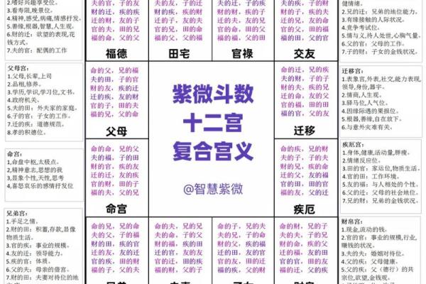 紫薇斗数命运宝典 紫薇斗数命运宝典