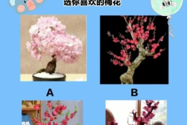 测试自己最近运气 测试你最近运气好吗 测试自己最近运气 测试你最近运气好吗