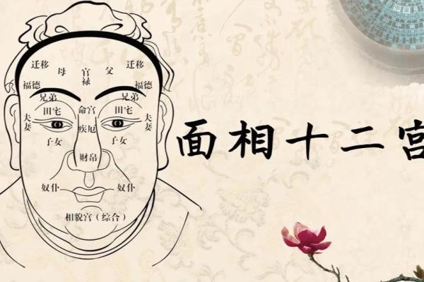 面相算命图解十二宫之:田宅宫 面相算命图解十二宫之:田宅宫