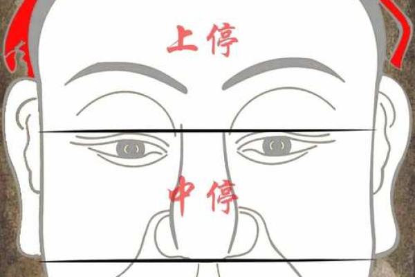 面相算命图解十二宫之:田宅宫 面相算命图解十二宫之:田宅宫