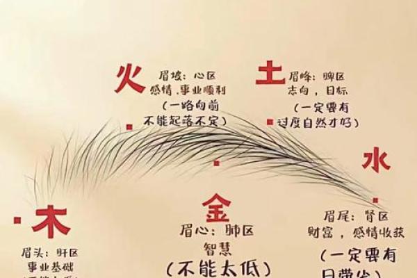 摸眉心算命 摸眉心算命