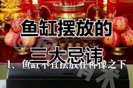 办公室风水鱼缸的摆放禁忌 鱼的数目也是有讲究的