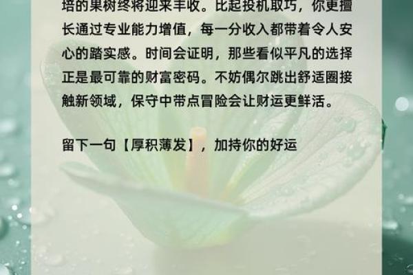 心理测试-凭直觉选择一碗粥,测测你是什么女人命 心理测试-凭直觉选择一碗粥,测测你是什么女人命
