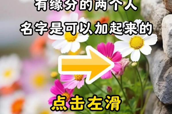 名字测试有没有缘分在一起 用名字测有没有缘免费? 名字测试有没有缘分在一起 用名字测有没有缘免费?