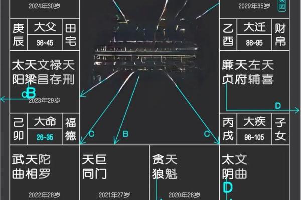 紫薇斗数看财运格局