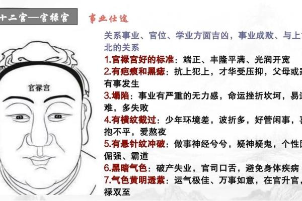 八字官禄宫怎么看婚姻