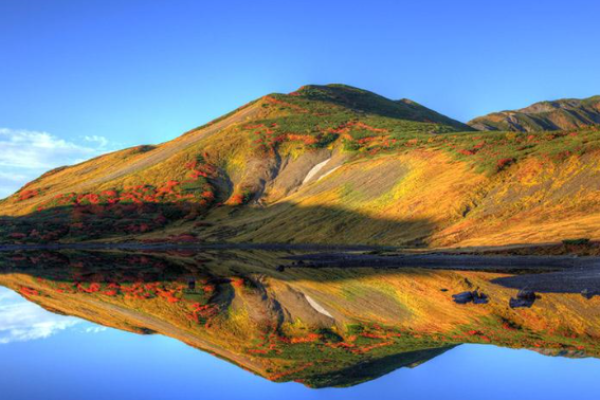 八字命理出林之兔是属于什么命