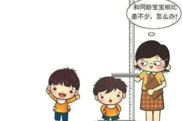 身材矮小的八字特征