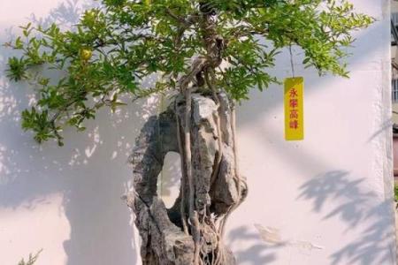 风水石榴寓意石榴石象征意义