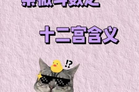 适合当艺术家的紫薇斗数