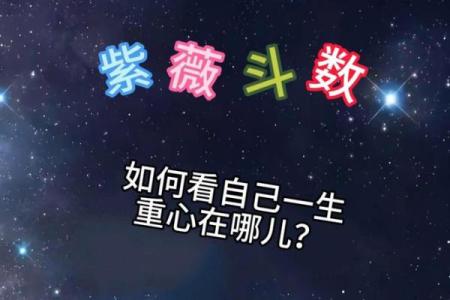 紫薇斗数星身宫