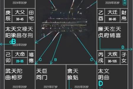 紫薇斗数看财运格局